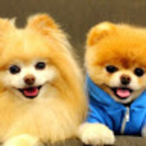 Meet your Posher, Maryam